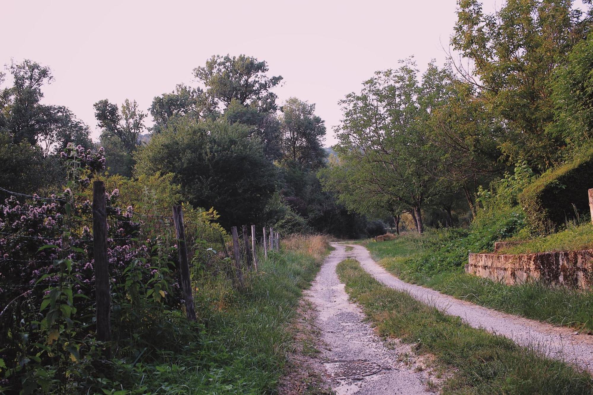 Joli Gite Pour 5 Personnes : Chez Cherrie Saint-Julien-de-Lampon Zewnętrze zdjęcie